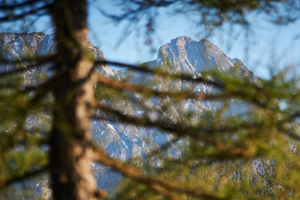Sloneczny Appartamento Zakopane